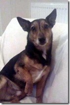 521827_10151131303650749_1061846056_n